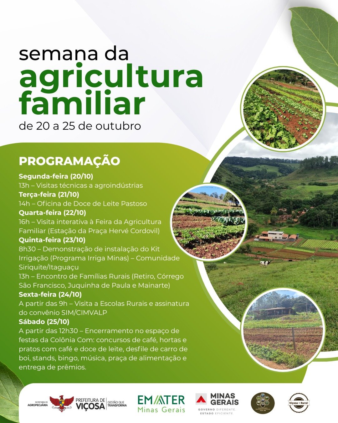 WhatsApp Image 2025-10-17 at 17.40.32