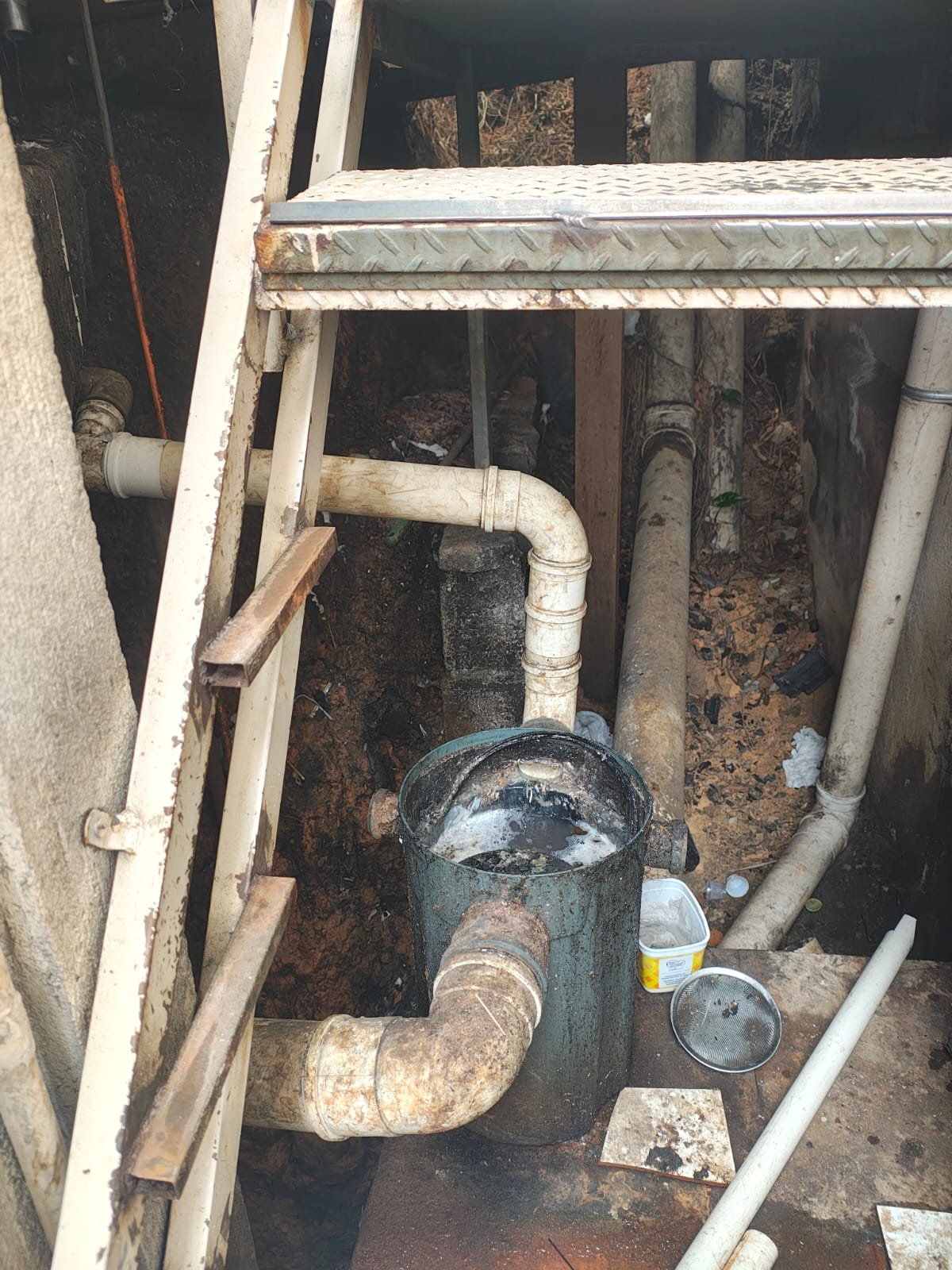 WhatsApp Image 2025-10-21 at 15.14.49