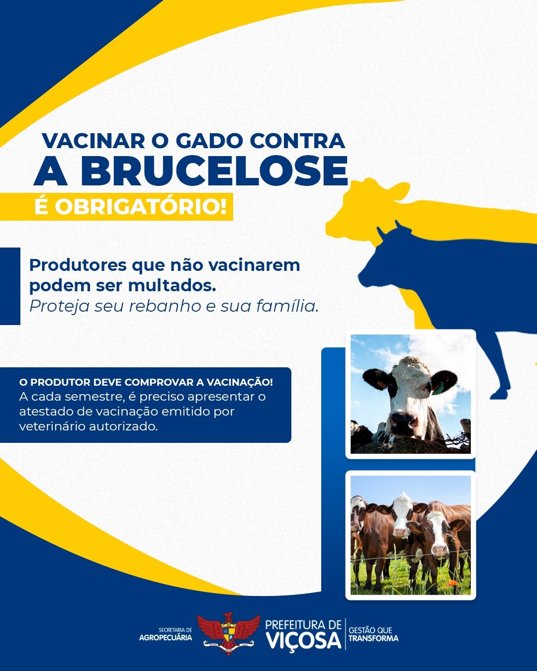 WhatsApp Image 2025-10-29 at 16.07.54