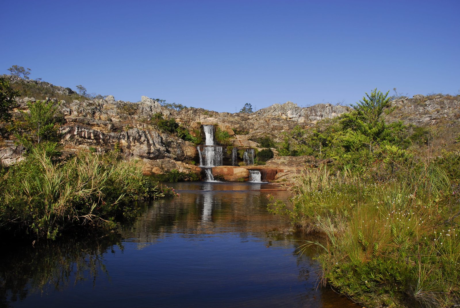 {{brizy_dc_image_alt entityId=