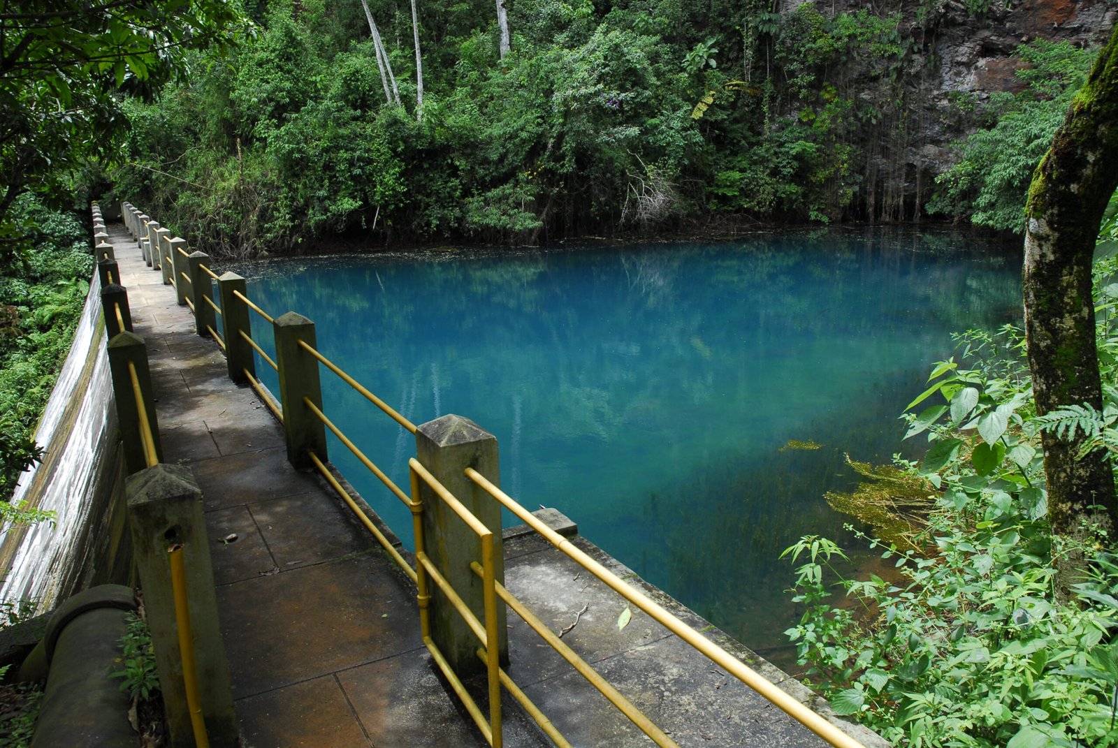 {{brizy_dc_image_alt entityId=