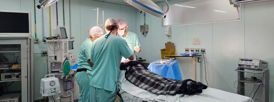 {{brizy_dc_image_alt entityId=