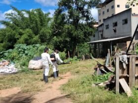 {{brizy_dc_image_alt entityId=