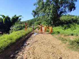 {{brizy_dc_image_alt entityId=