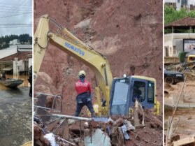 {{brizy_dc_image_alt entityId=