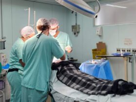 {{brizy_dc_image_alt entityId=