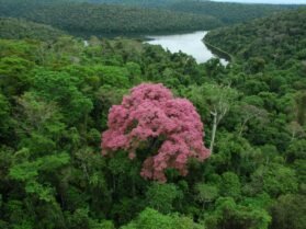 {{brizy_dc_image_alt entityId=