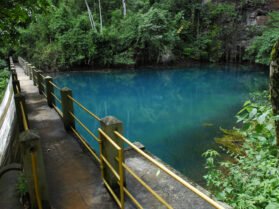 {{brizy_dc_image_alt entityId=